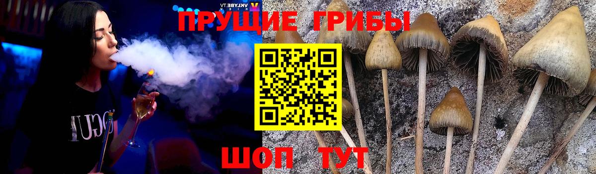 Галлюциногенные грибы Psilocybine cubensis  Вход с VPN  Грозный 